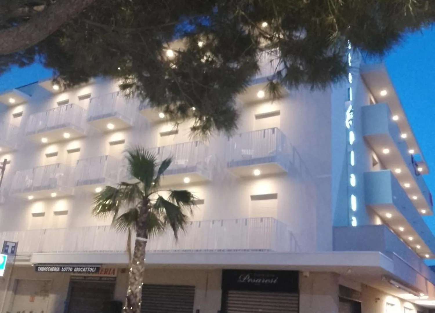 Hotel Playa Rimini