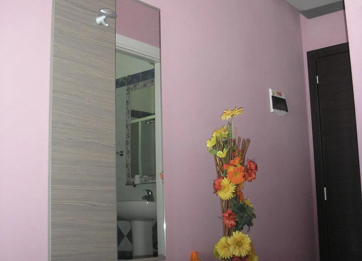 Hotel Playa Rimini