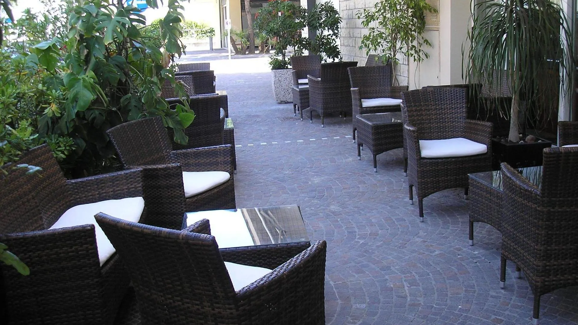 Hotel Playa Rimini